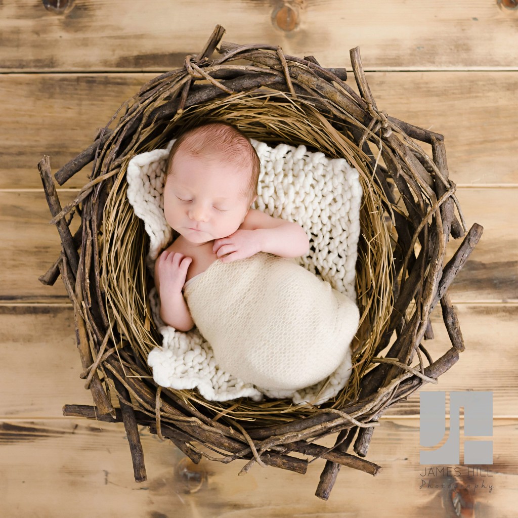 Atlanta Newborn Wall Portraits