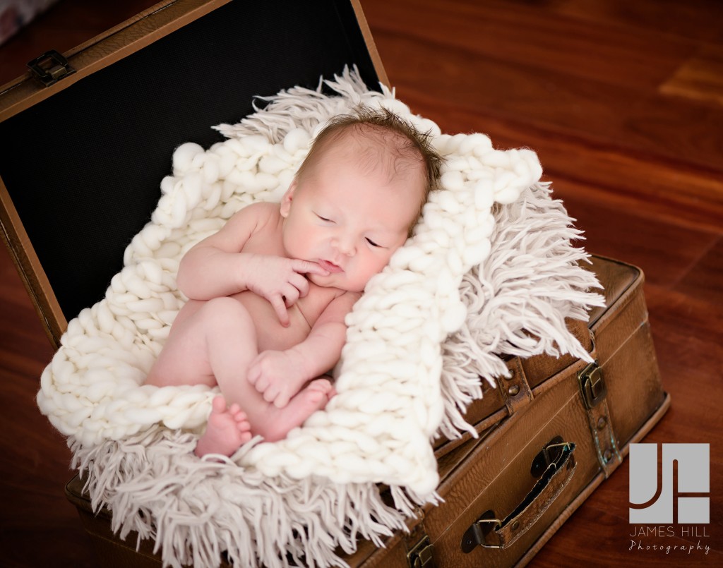 Newborn Portrait Photographer